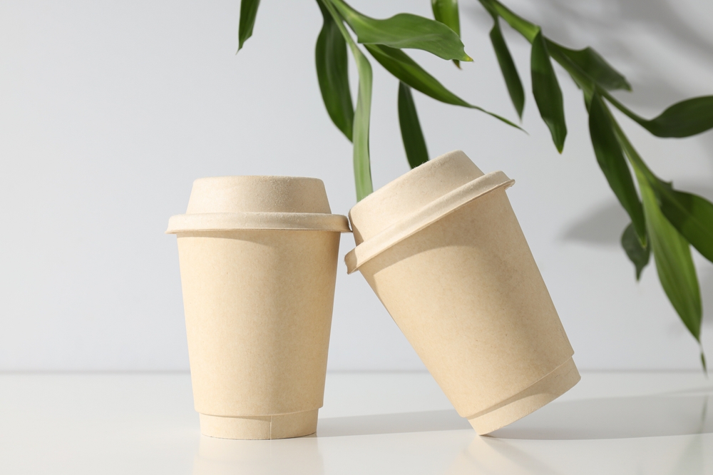 Paper Cup